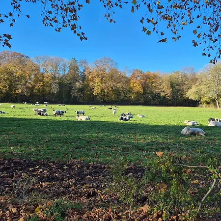 Au Coin Des Champs - A La Ferme - Le Fenil بيت ضيافة Faimes