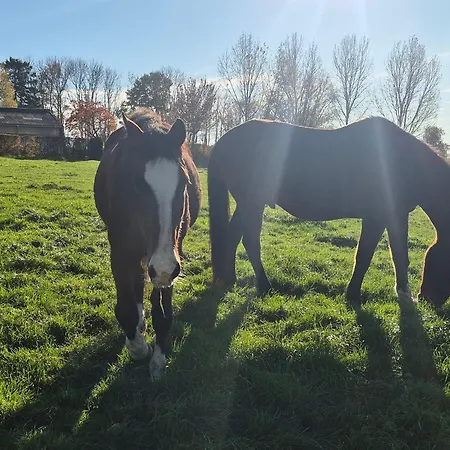 Au Coin Des Champs - A La Ferme - Le Fenil 3* Faimes