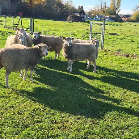 Au Coin Des Champs - A La Ferme - Le Fenil بيت ضيافة