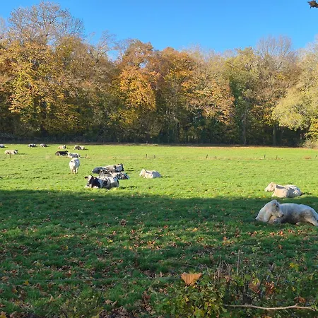 Au Coin Des Champs - A La Ferme - Le Fenil Faimes